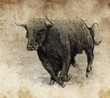 Sketch made with digital tablet, bull running
