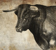 Illustrazione: Sketch made with digital tablet of spanish bull Sketch made with digital tablet of spanish bull