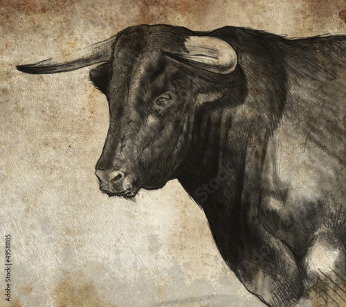 Illustration: Sketch made with digital tablet of spanish bull Sketch made with digital tablet of spanish bull