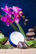 Beauty und Aloe