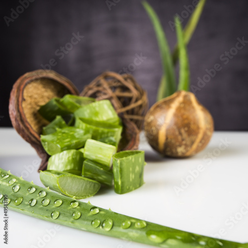 Photo: Aloe Vera Aloe Vera