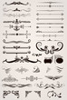 Elements Decorative Ornaments