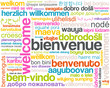 welcome - page d'accueil - bienvenue