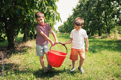 Photo: Young brothers carrying bucket of cherries outdoors. Young brothers carrying bucket of cherries outdoors.