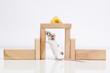white mouse and house with cheese