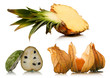 fruit set over white background