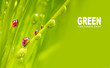 Natural background from grassland.