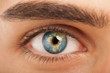 World eye
