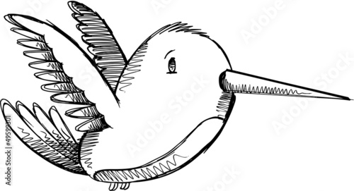 Vector: Cute Hummingbird Sketch Drawing Vector Art Cute Hummingbird Sketch Drawing Vector Art