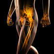 human radiography scan