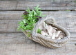 Photo: Basket of mushroom, and sweet basil on wooden background Basket of mushroom, and sweet basil on wooden background
