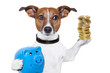 money saving dog