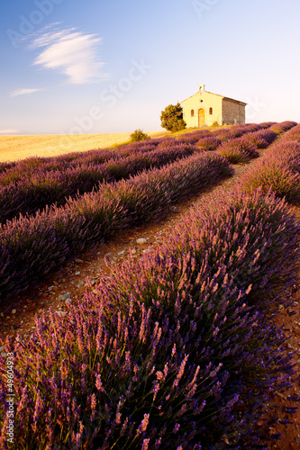 Photo: chapel with lavender field, Plateau de Valensole, Provence, Fran chapel with lavender field, Plateau de Valensole, Provence, Fran