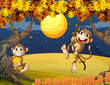 Two monkeys wondering in the middle of the night