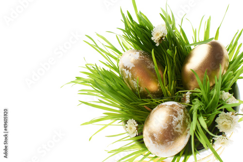 Photo: Eggs in grass Eggs in grass