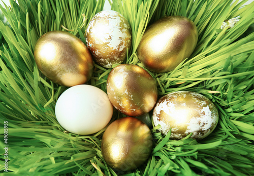 Photo: Eggs and grass Eggs and grass