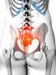 3d rendered illustration - sacrum