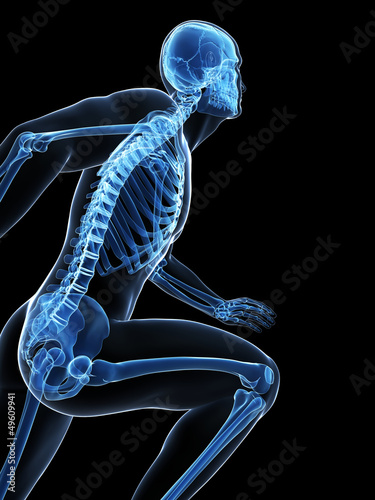 Illustration: 3d rendered illustration - runner anatomy 3d rendered illustration - runner anatomy