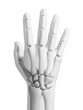 3d rendered illustration - hand