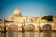 Tiber And St. Peter's Cat...