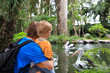 family looking at pelicans