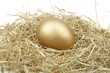 Golden egg in straw