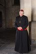 Pensive cardinal