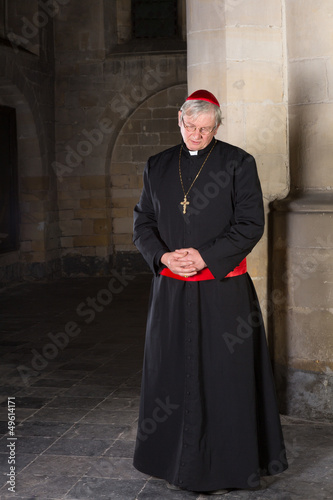 Photo: Pensive cardinal Pensive cardinal