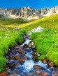 River and grass. Composition of the nature