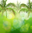 Vector: Green bokeh with branches of palm trees Green bokeh with branches of palm trees