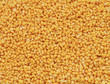Canned corn