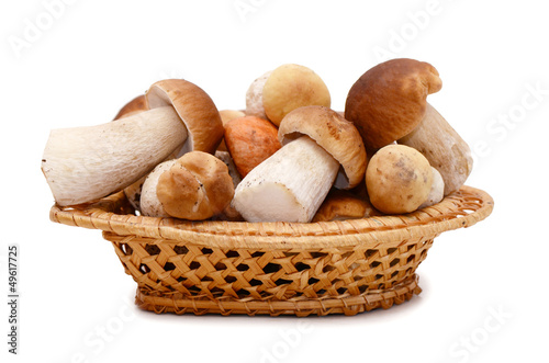 Photo: Boletus edulis isolated on white background Boletus edulis isolated on white background