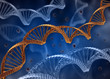 Illustration: Dna concept Background Dna concept Background