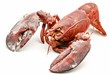 Bogavante cocido