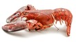 Bogavante cocido
