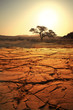 Drought