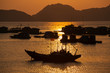 Halong