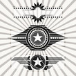 Stars and Wings military style