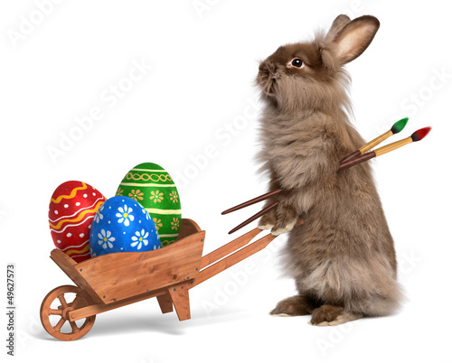 Photo: Funny Easter bunny rabbit with a wheelbarrow and some Easter egg Funny Easter bunny rabbit with a wheelbarrow and some Easter egg