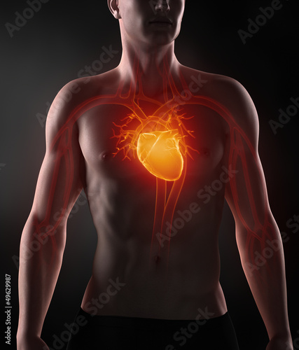 Illustration: Man with circulatory system Man with circulatory system