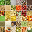 Food collage