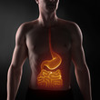 Focused on man digestive system
