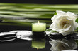 spa healthcare concept