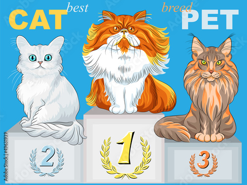 Vector: vector cute fluffy cat champion on the podium vector cute fluffy cat champion on the podium