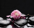 Zen pebbles. Stone spa and Asian style concept.