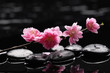 branch tropical orchid with therapy stones