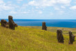 Moais at Rano Raraku volcano, Easter island (Chile)