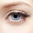 eye zone makeup