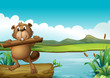 A beaver above a floating trunk holding a piece of wood