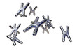 Chromosomes - isoliert - 3D Render